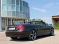 Audi A5 2.0 TDI (130kW)*Cabrio*Automatik*Facelift* Braun - thumbnail 5