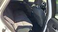 Ford Focus Focus Traveller Easy 1,0 EcoBoost Easy Weiß - thumbnail 15