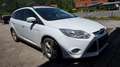 Ford Focus Focus Traveller Easy 1,0 EcoBoost Easy Weiß - thumbnail 3