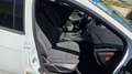 Ford Focus Focus Traveller Easy 1,0 EcoBoost Easy Weiß - thumbnail 17