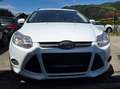 Ford Focus Focus Traveller Easy 1,0 EcoBoost Easy Weiß - thumbnail 2