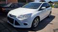 Ford Focus Focus Traveller Easy 1,0 EcoBoost Easy Weiß - thumbnail 1