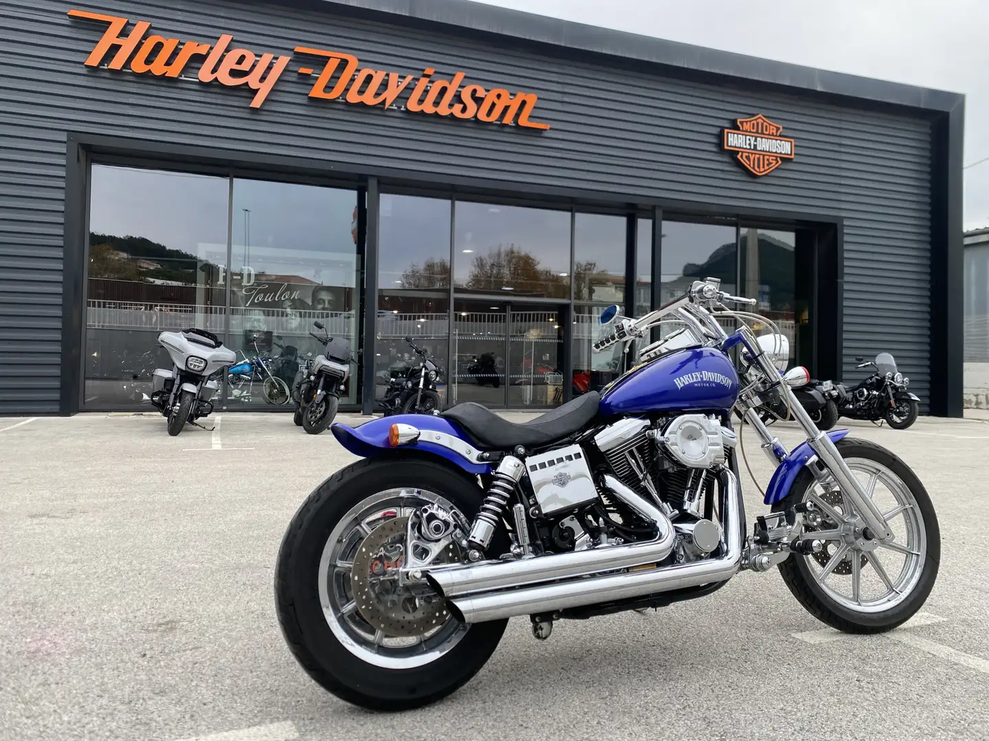 Harley-Davidson Dyna Low Rider Bleu - 1