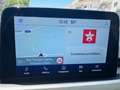 Ford Kuga Kuga III 2020 1.5 ecoblue Connect 2wd 120cv Gris - thumbnail 16