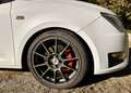 CUPRA Ibiza Seat Cupra IBIZA 1.4 Turbo Sportwagen / Coupé Weiß - thumbnail 8
