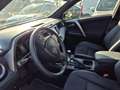 Toyota RAV 4 RAV4 2.5 Hybrid 2WD Exclusive COME NUOVA Gris - thumbnail 6