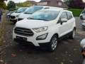 Ford EcoSport Cool & Connect Weiß - thumbnail 2