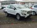 Ford EcoSport Cool & Connect Weiß - thumbnail 1