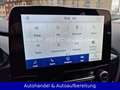 Ford Puma 1.0 EcoBoost Hybrid Power-Shift Titanium Bleu - thumbnail 31