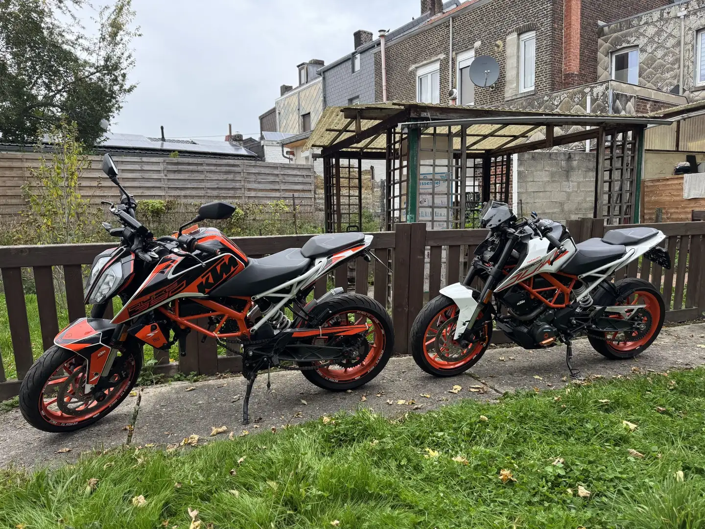 KTM 390 Duke 2 KTM DUKE 390 Oranje - 2