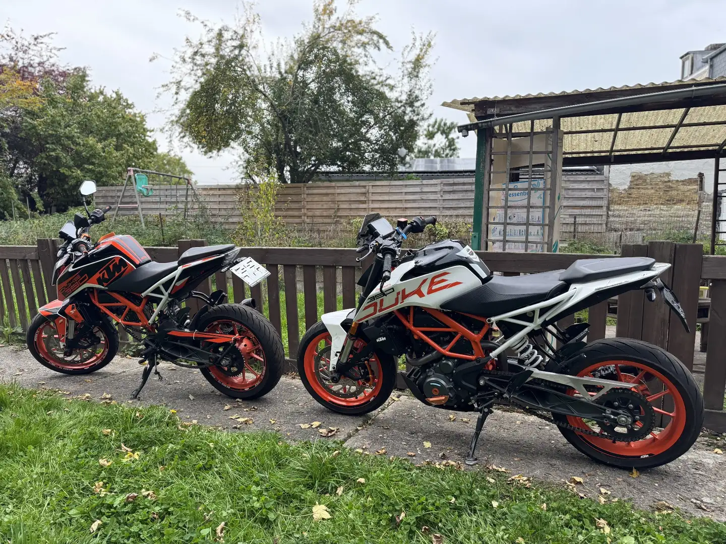 KTM 390 Duke 2 KTM DUKE 390 Oranje - 1