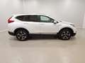 Honda CR-V 2.0 i-MMD HYBRID 4WD Executive LED|HuD|Pano Weiß - thumbnail 7