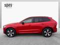Volvo XC60 T6 Plus Dark Rot - thumbnail 4