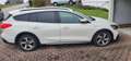 Ford Focus 2,0 EcoBlue 110kW Active Auto Weiß - thumbnail 4