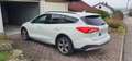 Ford Focus 2,0 EcoBlue 110kW Active Auto Weiß - thumbnail 3