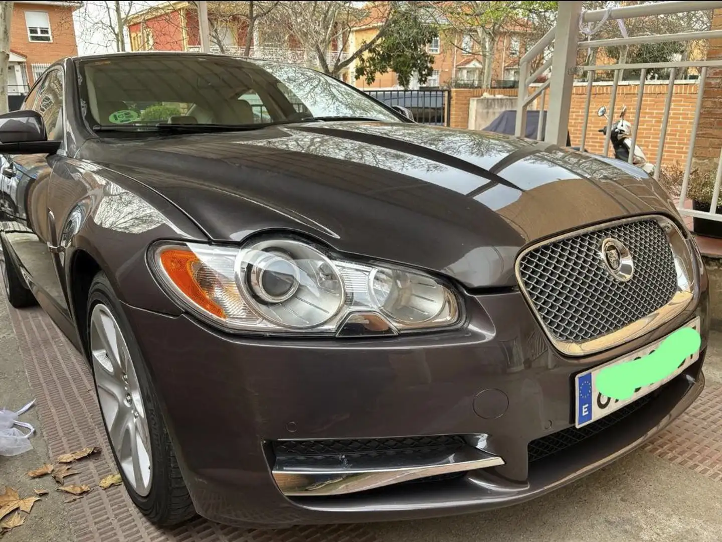 Jaguar XF 3.0 V6 Premium Luxury Aut. Gris - 2