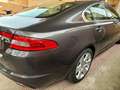 Jaguar XF 3.0 V6 Premium Luxury Aut. Gris - thumbnail 11