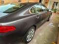 Jaguar XF 3.0 V6 Premium Luxury Aut. Gris - thumbnail 10