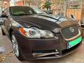 Jaguar XF 3.0 V6 Premium Luxury Aut. Gris - thumbnail 5
