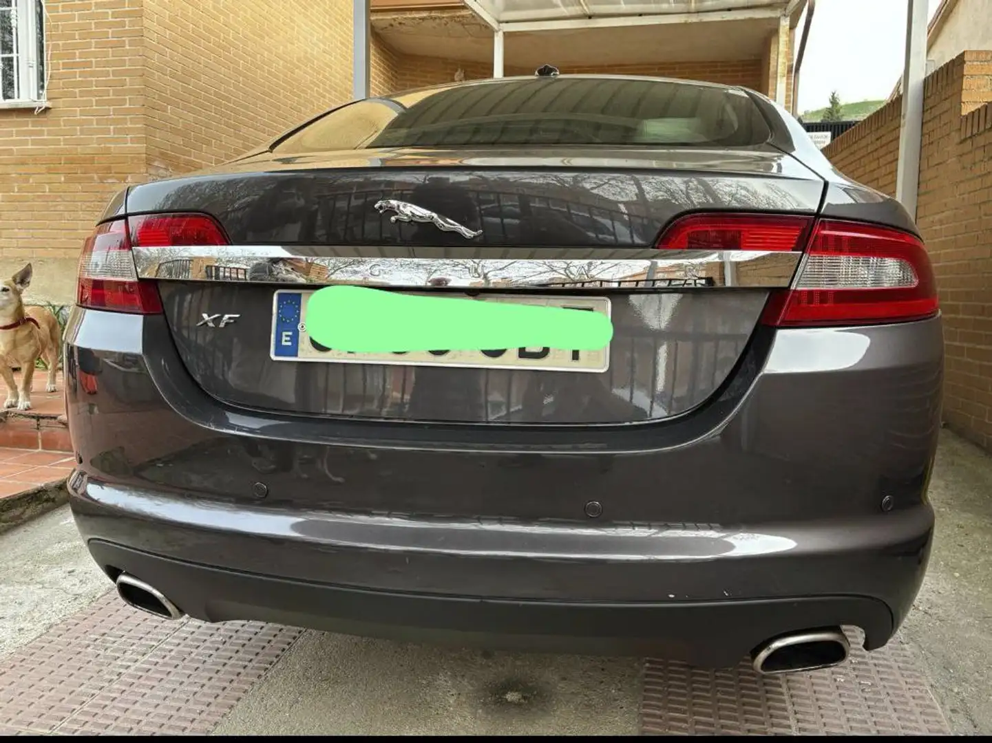 Jaguar XF 3.0 V6 Premium Luxury Aut. Gris - 1