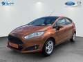 Ford Fiesta 1.0 EcoBoost Start-Stop Titanium Braun - thumbnail 1