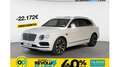 Bentley Bentayga Hybrid Blanco - thumbnail 1