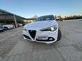Alfa Romeo Stelvio 2.2 T.diesel 190 CV Q4 Blanc - thumbnail 34