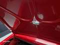 Alfa Romeo Spider 1.6 Junior CERTIFICATO ASI CON CRS Rood - thumbnail 23