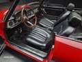 Alfa Romeo Spider 1.6 Junior CERTIFICATO ASI CON CRS Rood - thumbnail 13