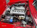 Alfa Romeo Spider 1.6 Junior CERTIFICATO ASI CON CRS Rojo - thumbnail 24
