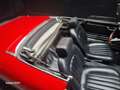 Alfa Romeo Spider 1.6 Junior CERTIFICATO ASI CON CRS Rouge - thumbnail 7