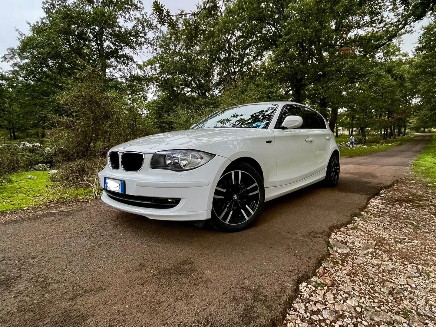BMW 116 116d 5p 2.0 Attiva 116cv dpf Bianco - 1
