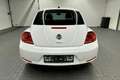 Volkswagen Beetle Club Navi/SHZ/17-Zoll/Tempomat/PDC Weiß - thumbnail 4