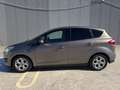 Ford C-Max 1.6TDCi Trend 95 Gris - thumbnail 14