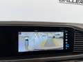 Mercedes-Benz GLE 400 d 4Matic AMG-Line Aut.*Memory*AHK*Luft*Standhei... Schwarz - thumbnail 34