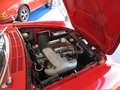 Alfa Romeo Spider 1600 Duetto Rood - thumbnail 10