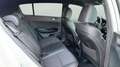 Kia Sportage 1.6 MHEV GT Line Essential 4x2 136 Blanco - thumbnail 12