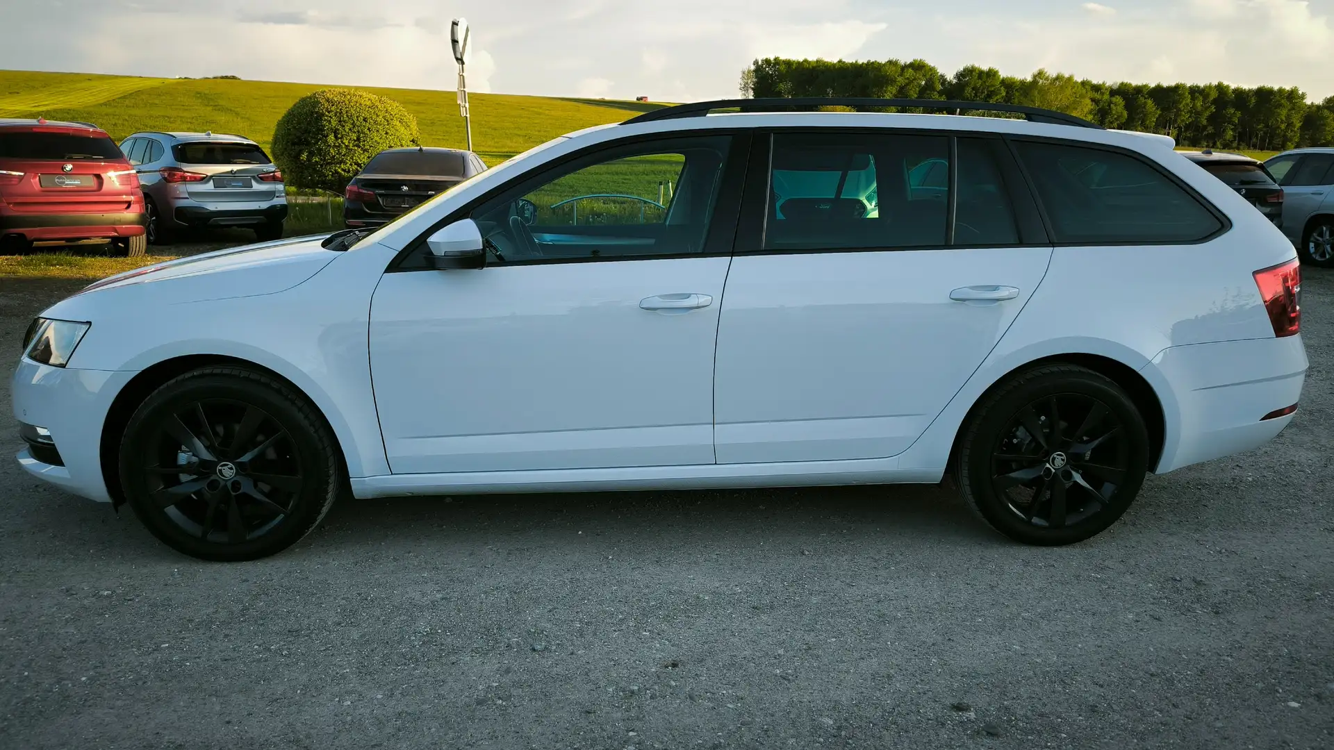 Skoda Octavia Combi 1,6 TDI Ambition Limited AB 199 EUR/MONAT Weiß - 2