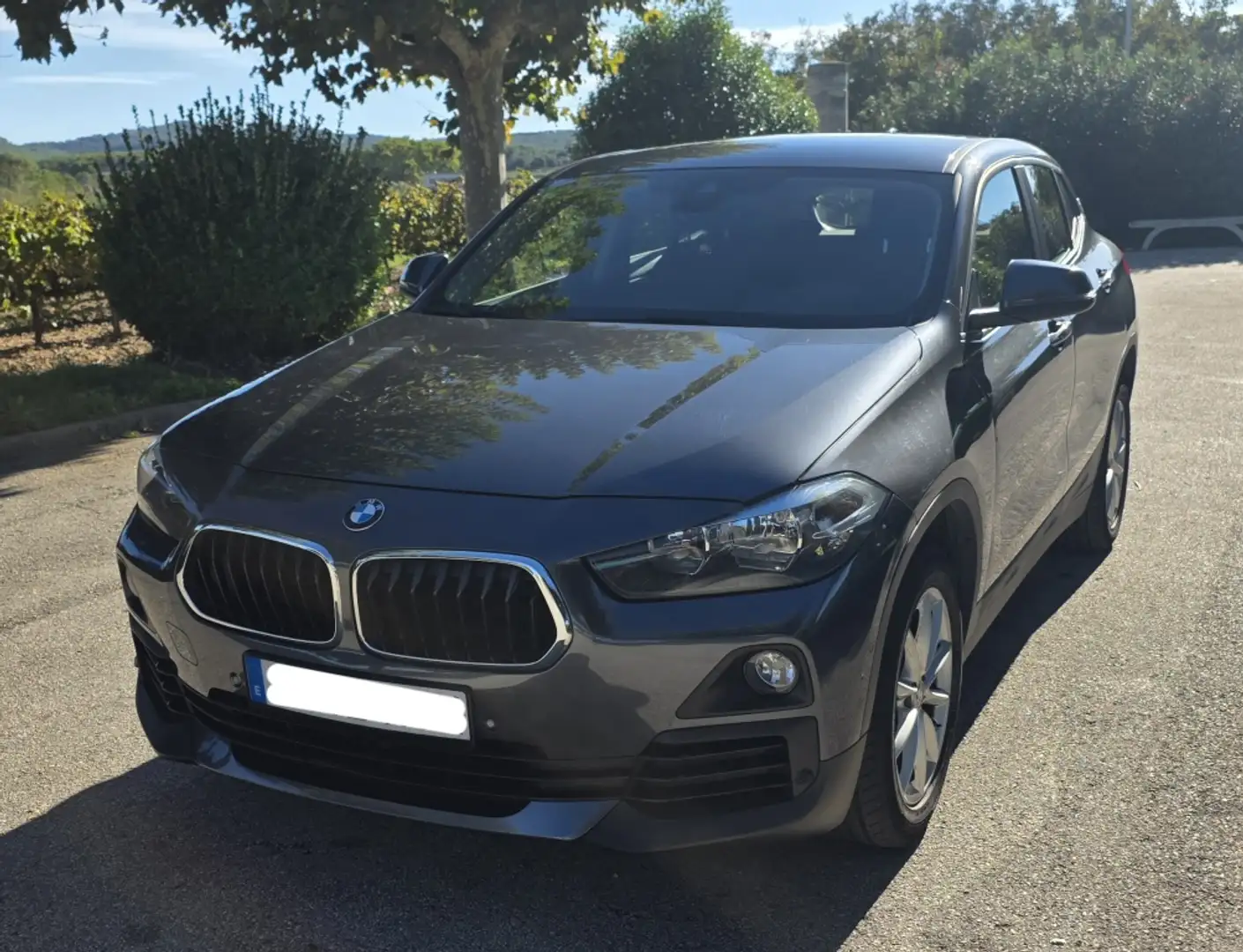 BMW X2 sDrive 18dA Gris - 1