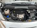 Ford Transit Connect Kasten lang Trend/PDC/Klima/AHK/3.Sitzer Weiß - thumbnail 11