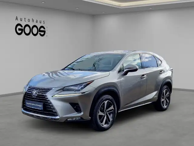 Lexus NX 300h E-Four Luxury Pano Memory Sitze 360 Kamera Klimasi