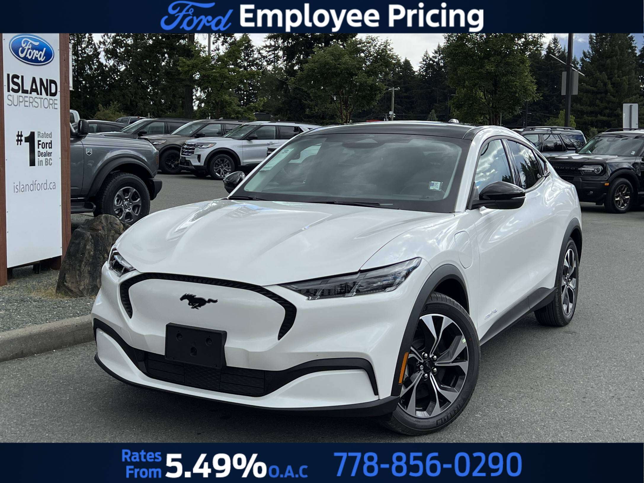White 2026 Ford Mustang Mach-E SUV / Crossover All-Wheel Drive 1-Speed Automatic