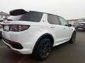 Land Rover Discovery Sport HSE 2.0 Td4 Aut.*Meridian*Leder* Weiß - thumbnail 3