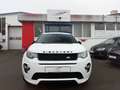 Land Rover Discovery Sport HSE 2.0 Td4 Aut.*Meridian*Leder* Weiß - thumbnail 2