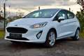 Ford Fiesta Fiesta 1.0 EcoBoost S **BENZINE** Blanc - thumbnail 16