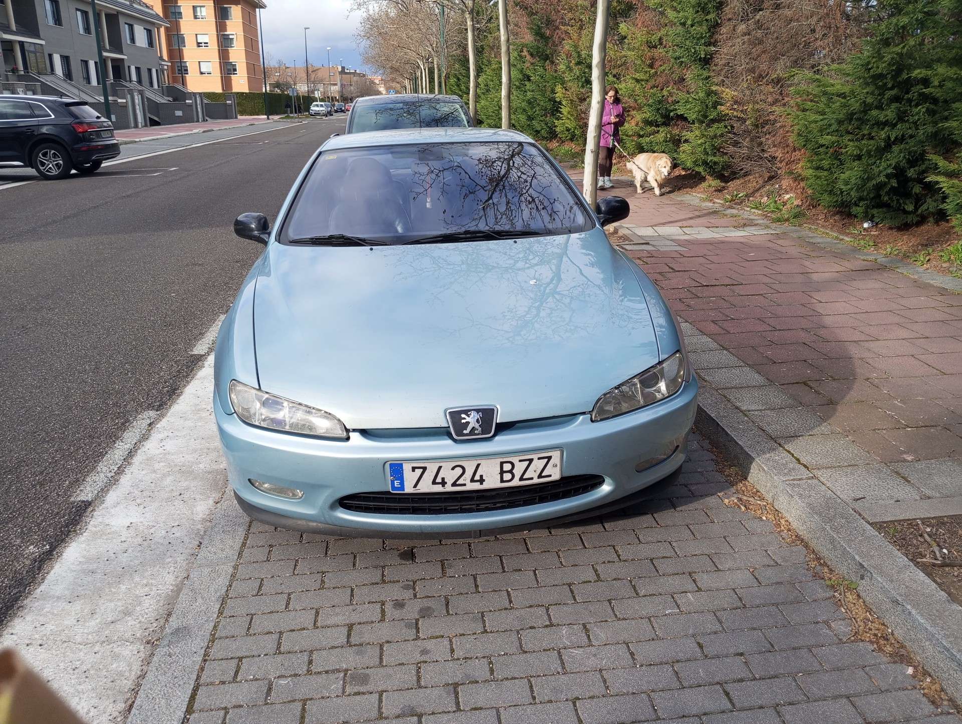 Peugeot 406 Coupé 2.2HDi Chess - foto 1