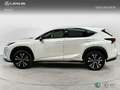 Lexus NX 200t SUV PREMIUM 2WD 2.5 Híbrido Gasolina (197CV) Tran Bianco - thumbnail 3
