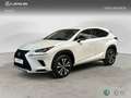 Lexus NX 200t SUV PREMIUM 2WD 2.5 Híbrido Gasolina (197CV) Tran Bianco - thumbnail 1