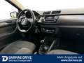 Skoda Fabia FABIA Ambition Clever Sitzhz PDC - thumbnail 16