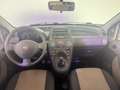 Fiat Panda 1.2. Alessi Argento - thumbnail 12
